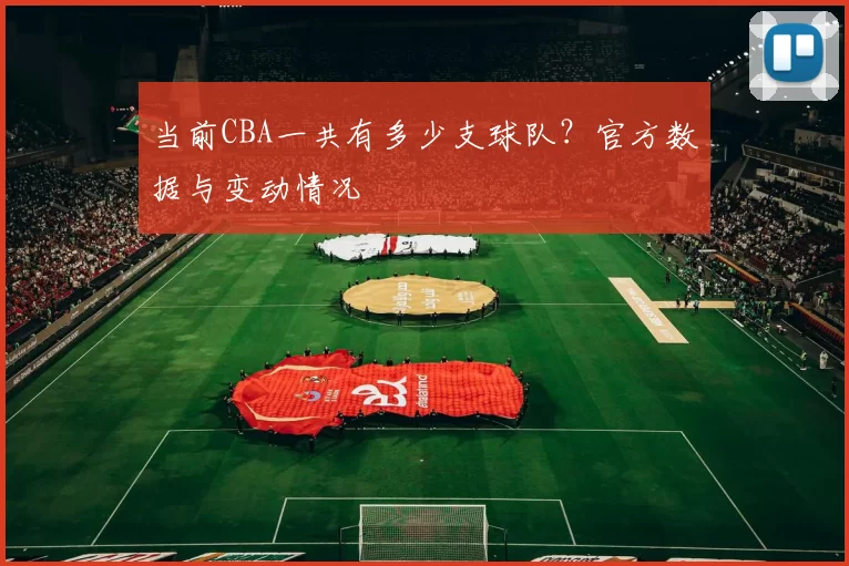 当前CBA一共有多少支球队？官方数据与变动情况