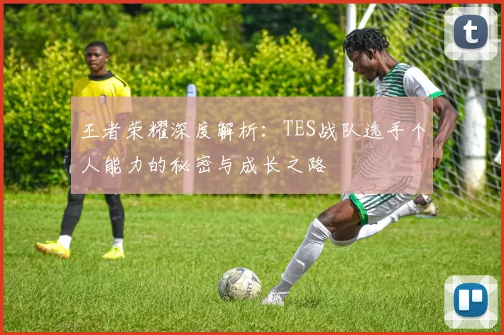 王者荣耀深度解析:TES战队选手个人能力的秘密与成长之路
