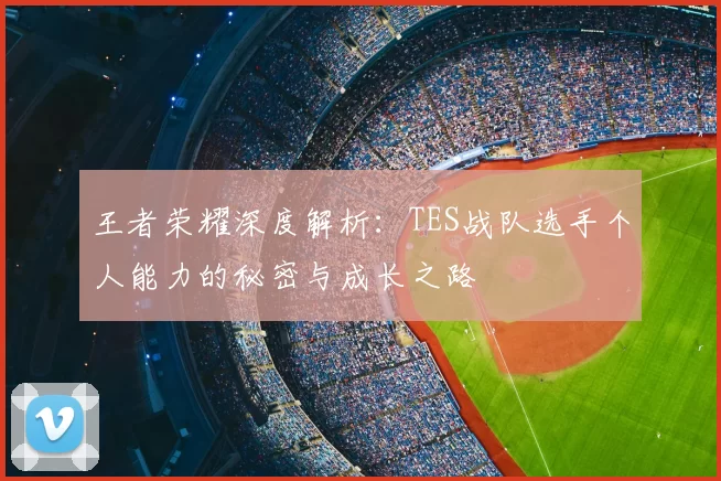 王者荣耀深度解析：TES战队选手个人能力的秘密与成长之路