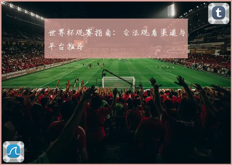世界杯观赛指南:合法观看渠道与平台推荐