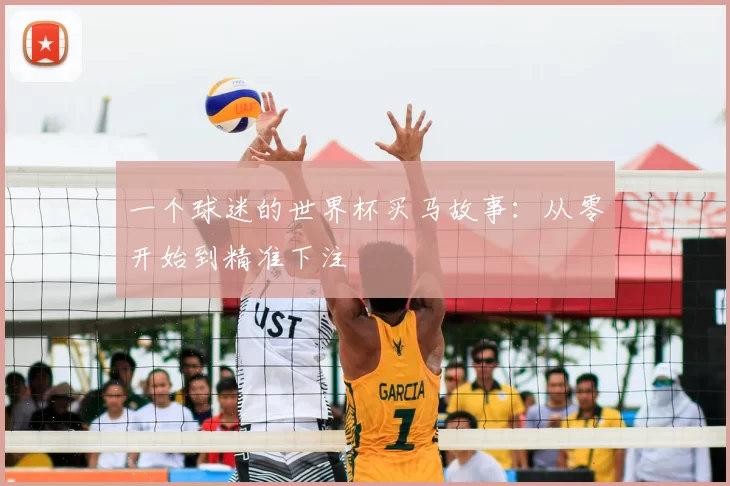 一个球迷的世界杯买马故事:从零开始到精准下注