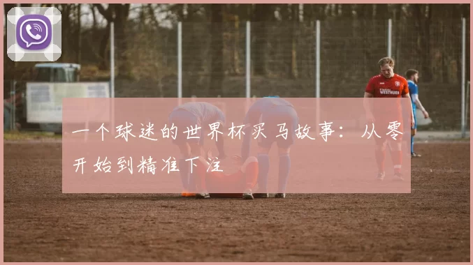 一个球迷的世界杯买马故事：从零开始到精准下注