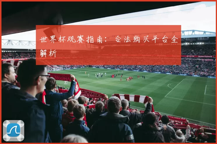 世界杯观赛指南:合法购买平台全解析