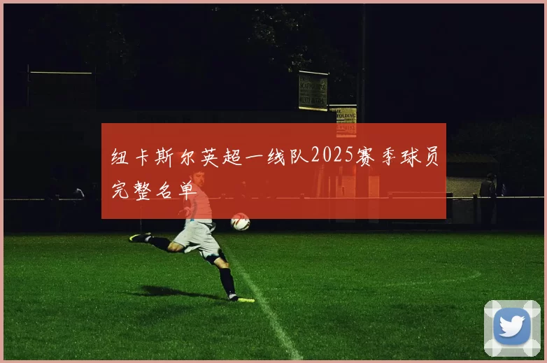 纽卡斯尔英超一线队2025赛季球员完整名单