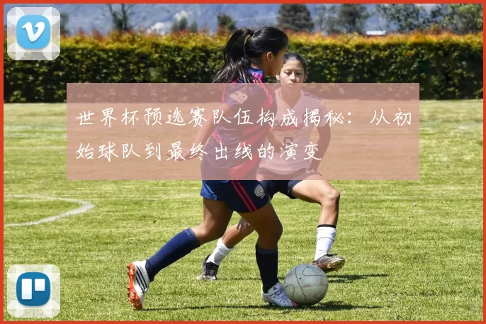 世界杯预选赛队伍构成揭秘:从初始球队到最终出线的演变