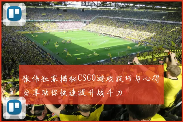 张伟独家揭秘CSGO游戏技巧与心得分享助你快速提升战斗力