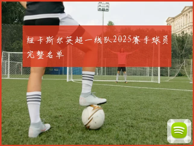 纽卡斯尔英超一线队2025赛季球员完整名单