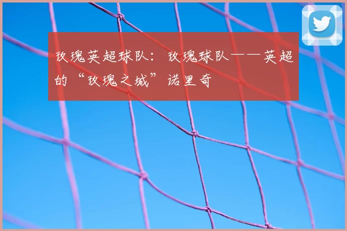 玫瑰英超球队:玫瑰球队——英超的“玫瑰之城”诺里奇