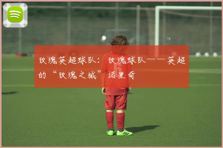 玫瑰英超球队:玫瑰球队——英超的“玫瑰之城”诺里奇